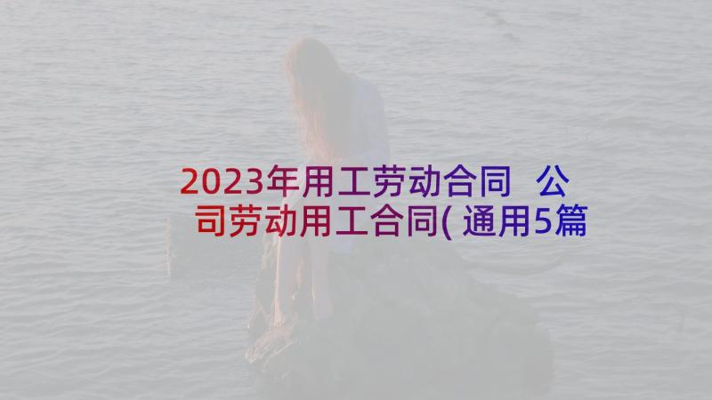 2023年用工劳动合同 公司劳动用工合同(通用5篇)