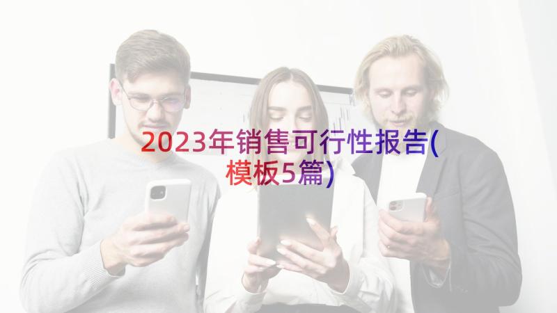 2023年销售可行性报告(模板5篇)