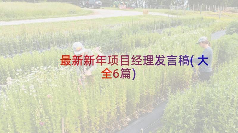 最新新年项目经理发言稿(大全6篇)