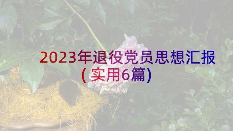 2023年退役党员思想汇报(实用6篇)