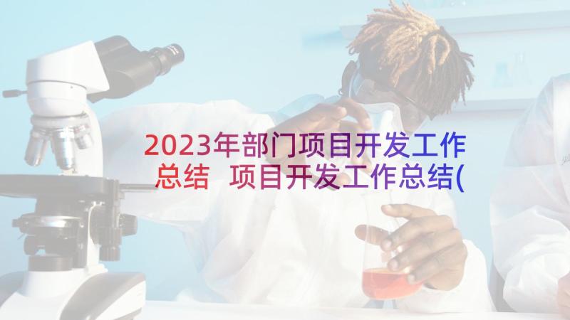 2023年部门项目开发工作总结 项目开发工作总结(模板5篇)