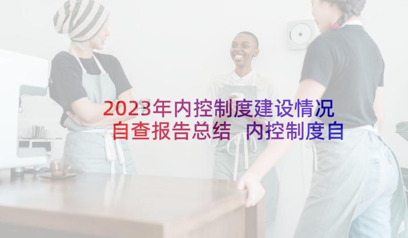 2023年内控制度建设情况自查报告总结 内控制度自查报告(模板10篇)