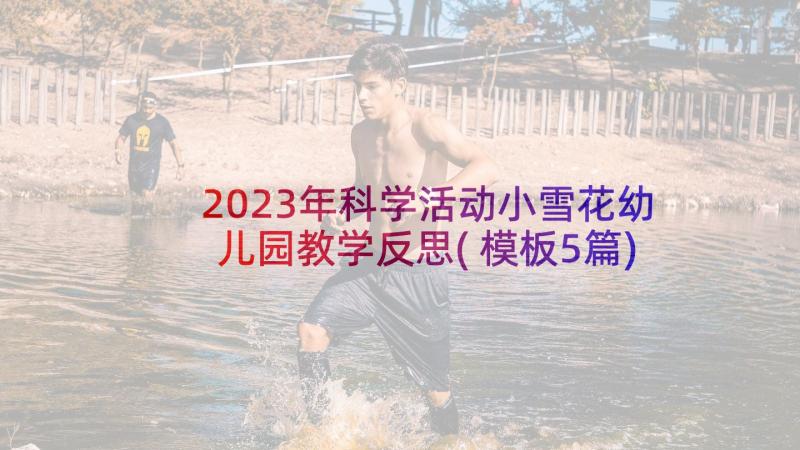 2023年科学活动小雪花幼儿园教学反思(模板5篇)