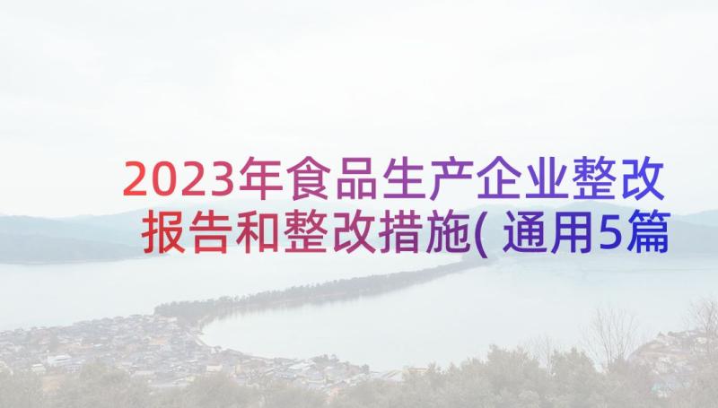 2023年食品生产企业整改报告和整改措施(通用5篇)