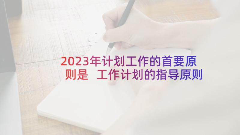 2023年计划工作的首要原则是 工作计划的指导原则(优秀5篇)