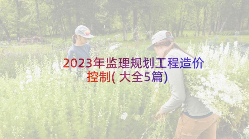 2023年监理规划工程造价控制(大全5篇)