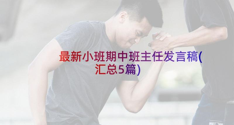 最新小班期中班主任发言稿(汇总5篇)