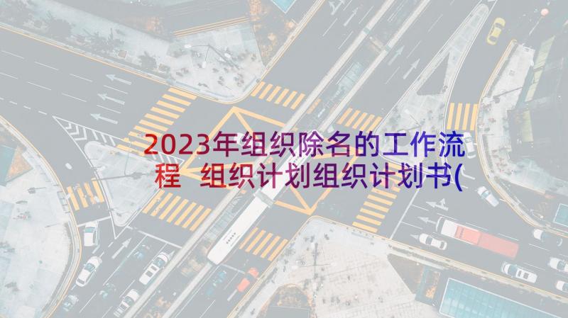 2023年组织除名的工作流程 组织计划组织计划书(优质5篇)