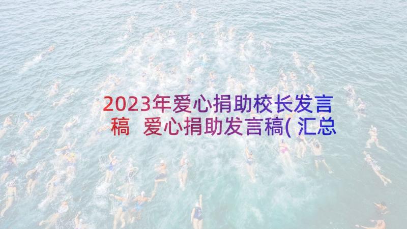 2023年爱心捐助校长发言稿 爱心捐助发言稿(汇总5篇)