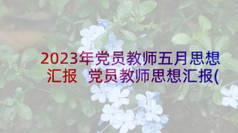 2023年党员教师五月思想汇报 党员教师思想汇报(模板5篇)