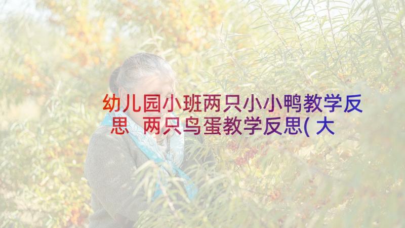 幼儿园小班两只小小鸭教学反思 两只鸟蛋教学反思(大全8篇)