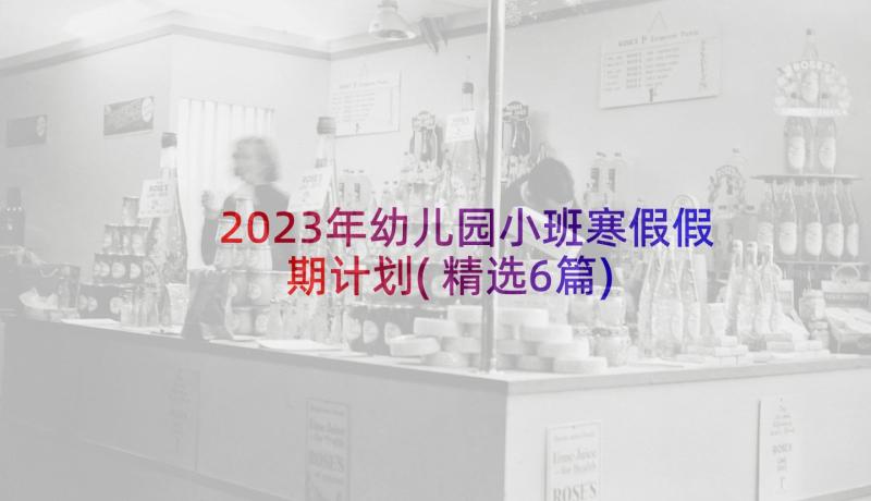 2023年幼儿园小班寒假假期计划(精选6篇)