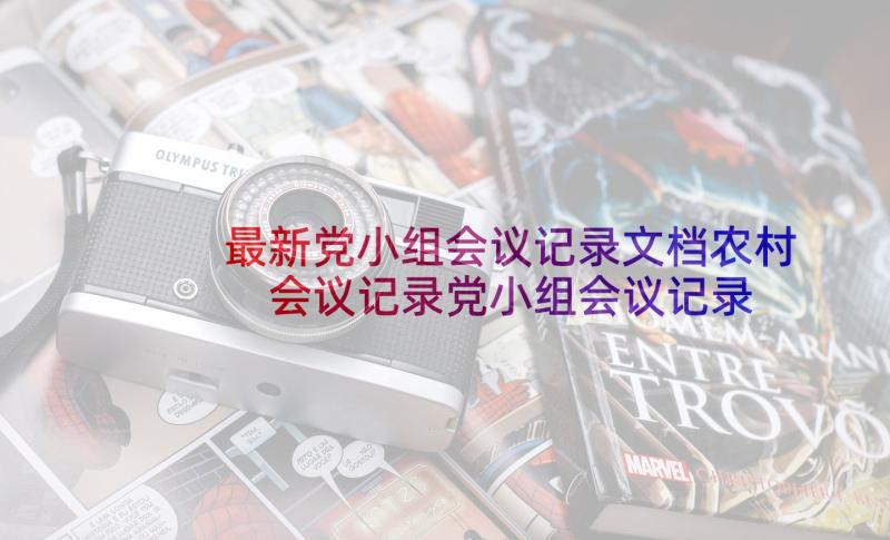 最新党小组会议记录文档农村 会议记录党小组会议记录(大全7篇)