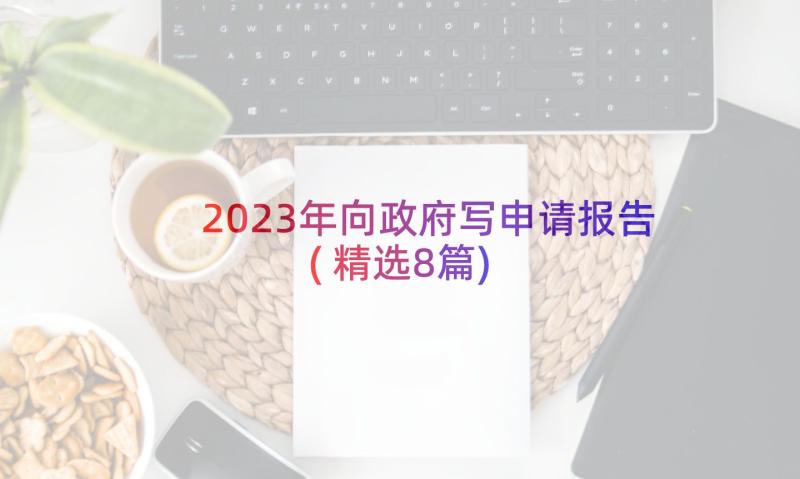 2023年向政府写申请报告(精选8篇)