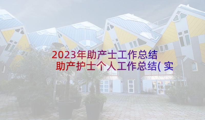 2023年助产士工作总结 助产护士个人工作总结(实用5篇)