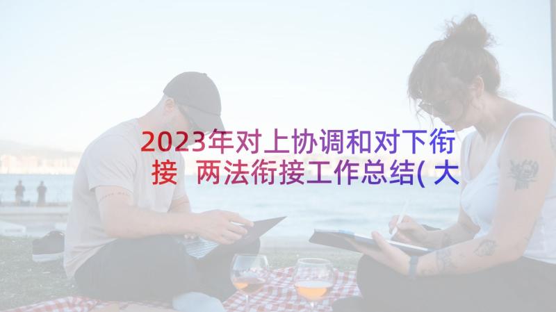 2023年对上协调和对下衔接 两法衔接工作总结(大全8篇)