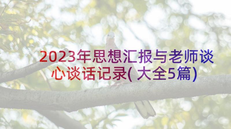 2023年思想汇报与老师谈心谈话记录(大全5篇)