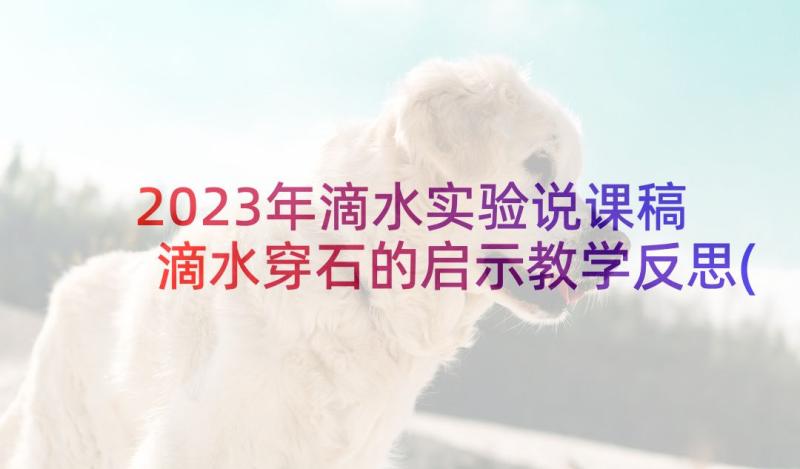 2023年滴水实验说课稿 滴水穿石的启示教学反思(通用10篇)