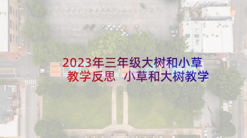 2023年三年级大树和小草教学反思 小草和大树教学反思(优质5篇)