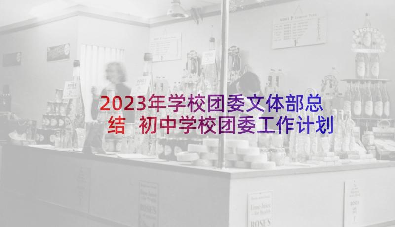 2023年学校团委文体部总结 初中学校团委工作计划(通用6篇)