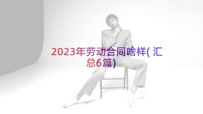 2023年劳动合同啥样(汇总6篇)