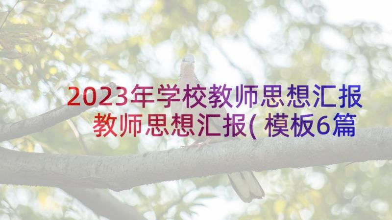 2023年学校教师思想汇报 教师思想汇报(模板6篇)