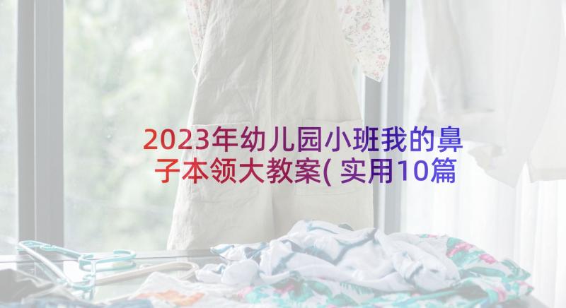 2023年幼儿园小班我的鼻子本领大教案(实用10篇)