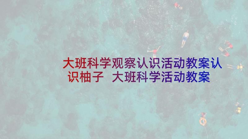 大班科学观察认识活动教案认识柚子 大班科学活动教案认识人民币(优质5篇)