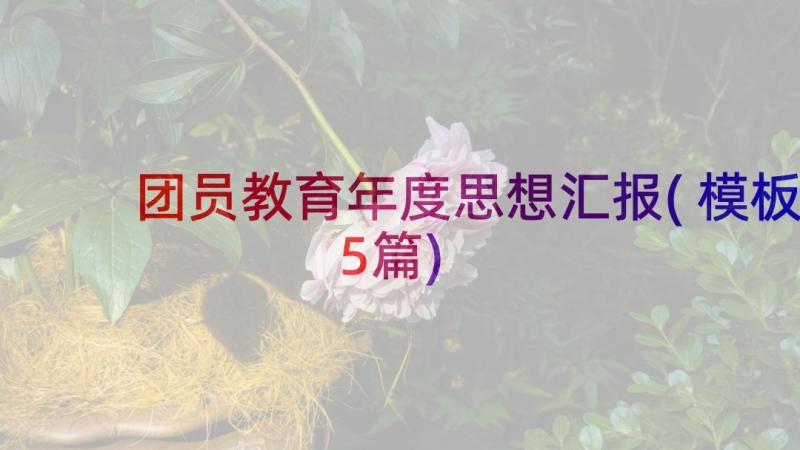 团员教育年度思想汇报(模板5篇)