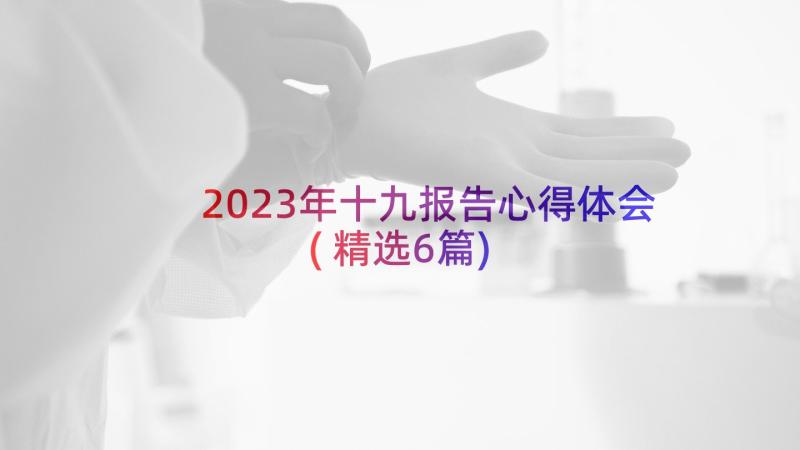 2023年十九报告心得体会(精选6篇)