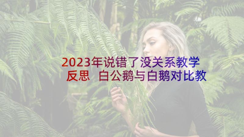 2023年说错了没关系教学反思 白公鹅与白鹅对比教学反思(实用5篇)