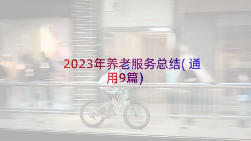 2023年养老服务总结(通用9篇)