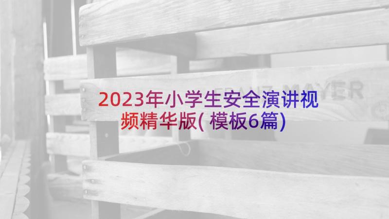 2023年小学生安全演讲视频精华版(模板6篇)