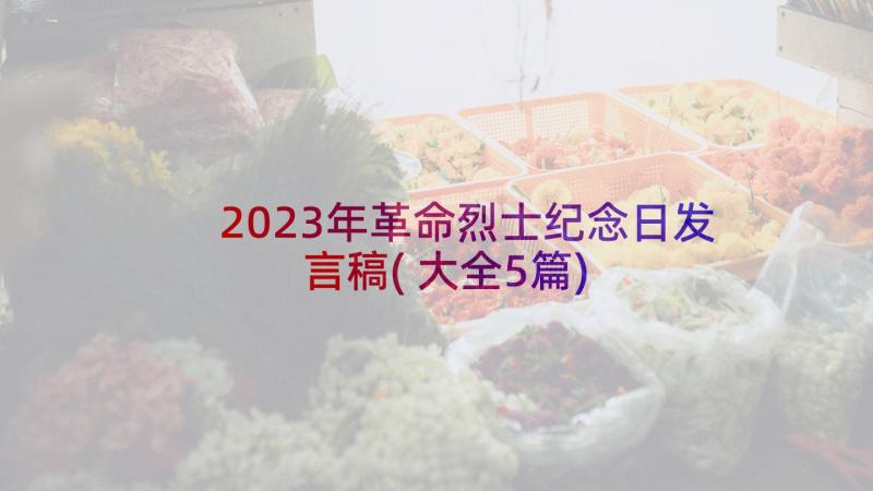 2023年革命烈士纪念日发言稿(大全5篇)