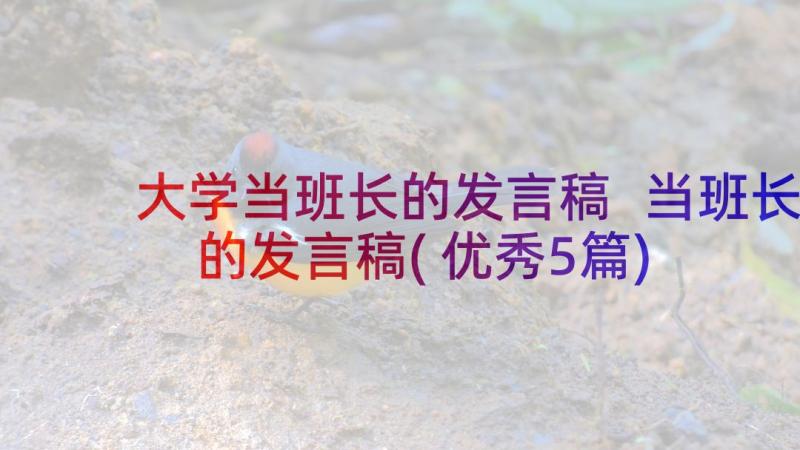 大学当班长的发言稿 当班长的发言稿(优秀5篇)