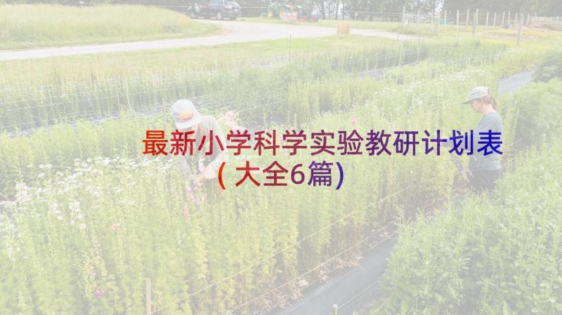 最新小学科学实验教研计划表(大全6篇)