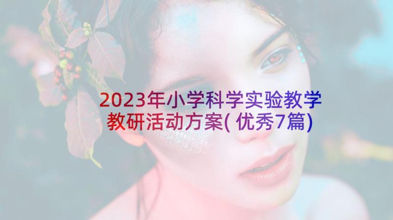 2023年小学科学实验教学教研活动方案(优秀7篇)