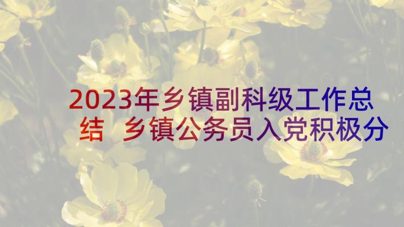 2023年乡镇副科级工作总结 乡镇公务员入党积极分子思想汇报(实用5篇)