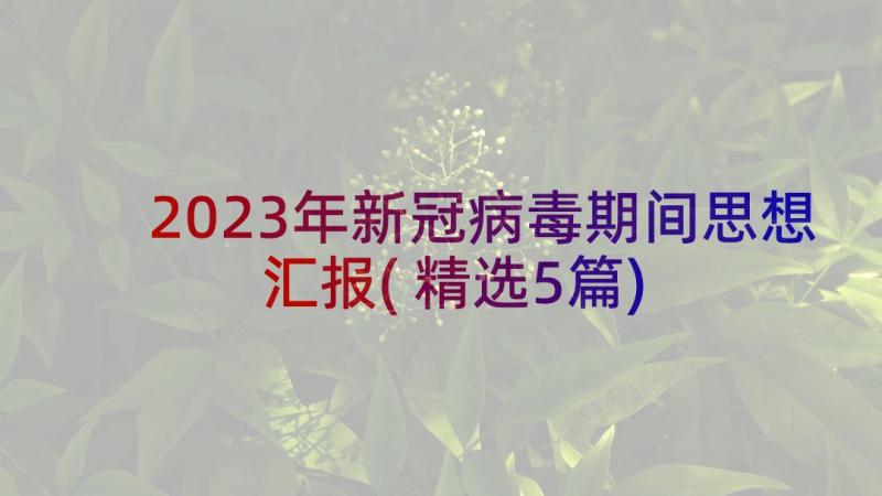 2023年新冠病毒期间思想汇报(精选5篇)