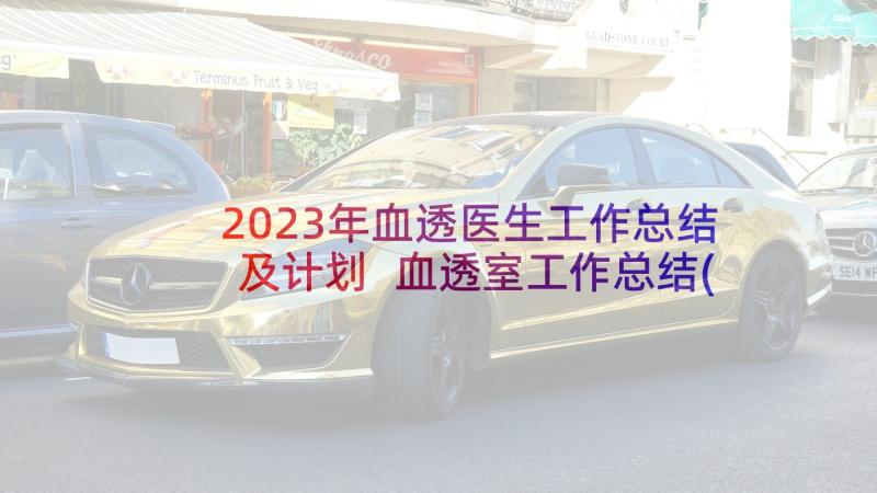 2023年血透医生工作总结及计划 血透室工作总结(精选10篇)