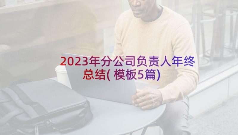 2023年分公司负责人年终总结(模板5篇)