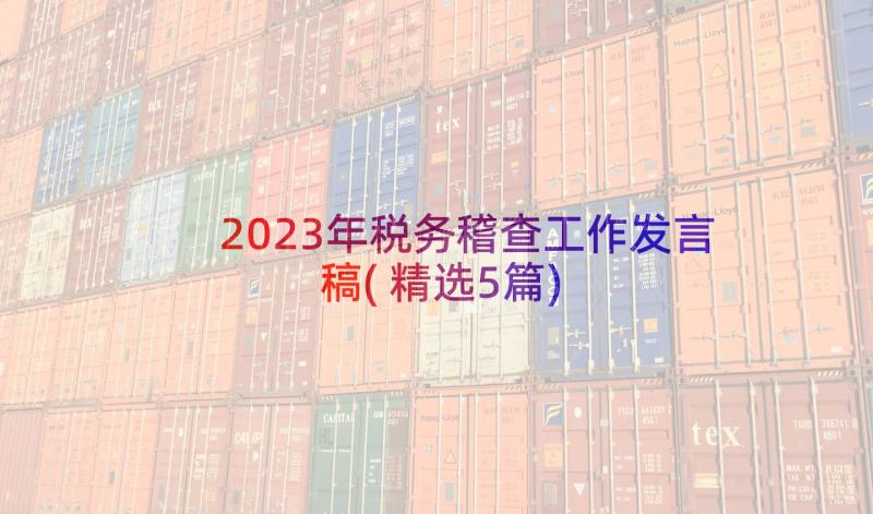 2023年税务稽查工作发言稿(精选5篇)