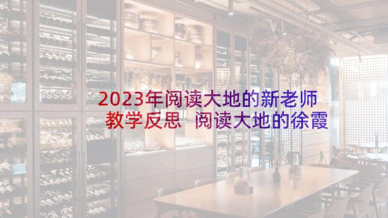 2023年阅读大地的新老师教学反思 阅读大地的徐霞客的教学反思(大全5篇)