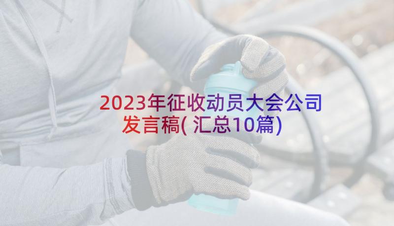 2023年征收动员大会公司发言稿(汇总10篇)