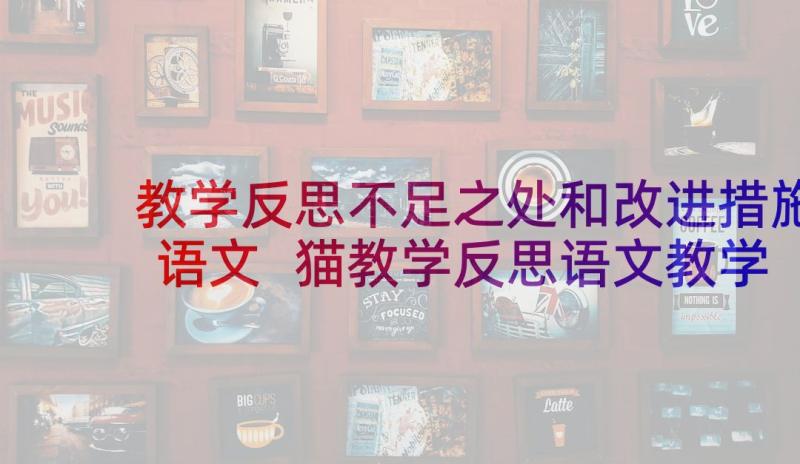 教学反思不足之处和改进措施语文 猫教学反思语文教学反思(精选6篇)