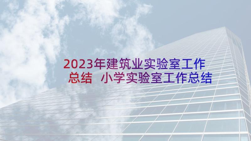 2023年建筑业实验室工作总结 小学实验室工作总结(精选7篇)