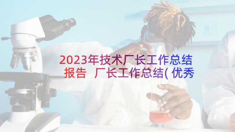 2023年技术厂长工作总结报告 厂长工作总结(优秀10篇)