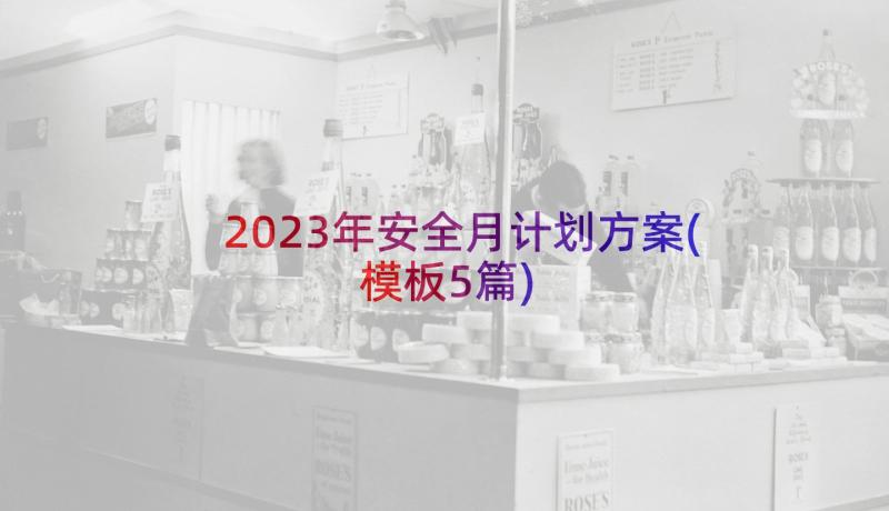 2023年安全月计划方案(模板5篇)