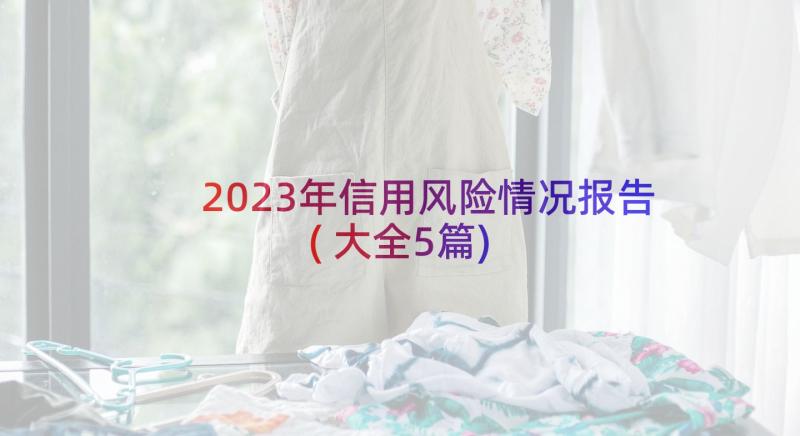 2023年信用风险情况报告(大全5篇)