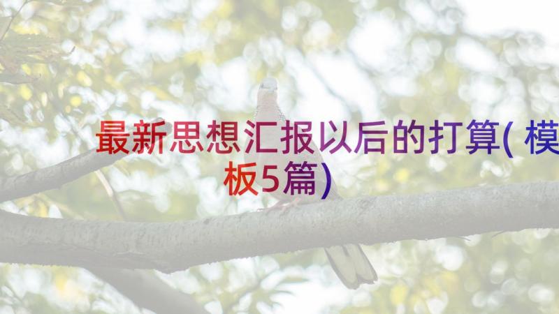 最新思想汇报以后的打算(模板5篇)